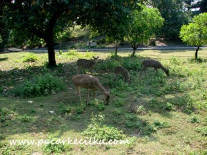 Benteng Pendem Cilacap