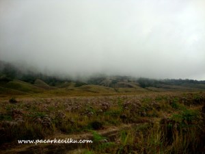 Padang Savana Bromo