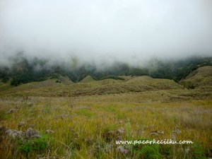 Padang Savana Bromo