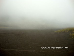 kabut yang turun disepanjang lautan pasir 