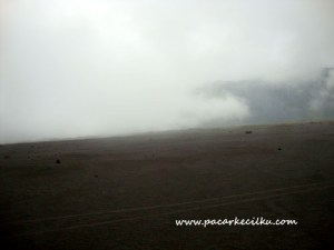 kabut yang turun disepanjang lautan pasir 