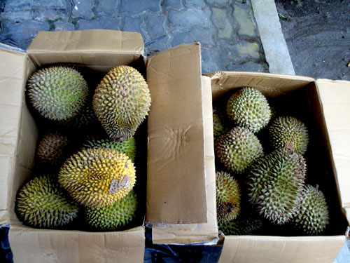 kiriman dari rumah, 6 Juni 2011