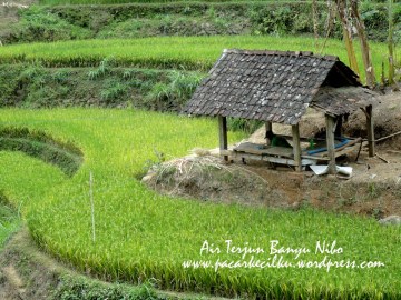 Air Terjun Banyu Nibo
