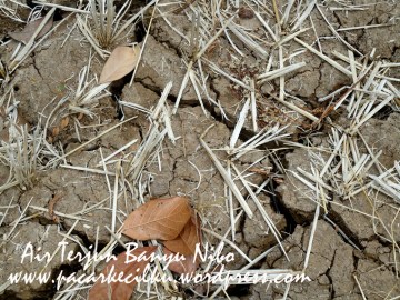 Air Terjun Banyu Nibo