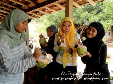 Air Terjun Banyu Nibo