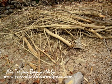 Air Terjun Banyu Nibo
