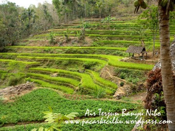 memandang berkeliling. 