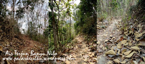 Air Terjun Banyu Nibo