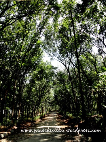 Waduk Kedungombo Waduk Kedungombo