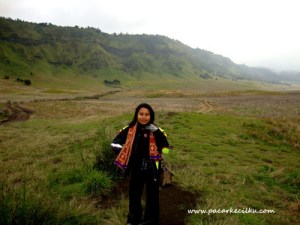 Bukit Teletubbies Bromo