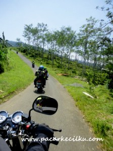 jalan menuju curug pitu 