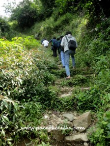 jalan menuju ke curug yang lebih atas