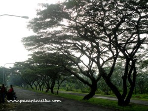 Waduk Mrica Waduk Mrica