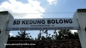 SD Kedung Bolong