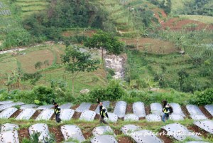 jalan menuju Curug Mrawu