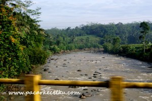 perjalanan menuju Pantai Ayah perjalanan menuju Pantai Ayah