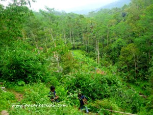pemandangan dari curug tujuh ke bawah