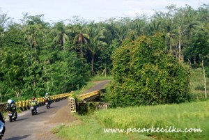 perjalanan menuju Pantai Ayah perjalanan menuju Pantai Ayah