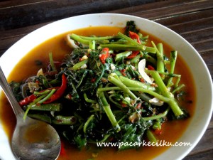 Cah Kangkung