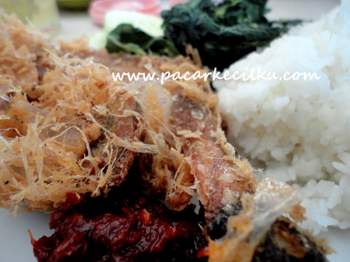 Bebek Goreng Kremes