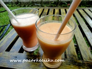 salah satu menu ala garden juice