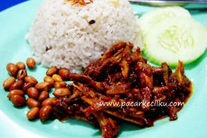 nasi lemak teri