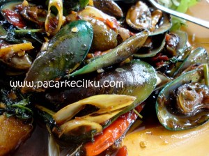 kerang hijau masak daun kemangi kerang hijau masak daun kemangi