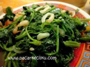 Ca Kangkung Cumi