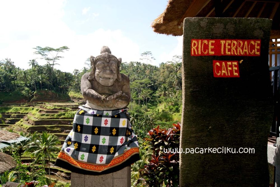 Rice Terrace Cafe, Ceking, Tegallalang
