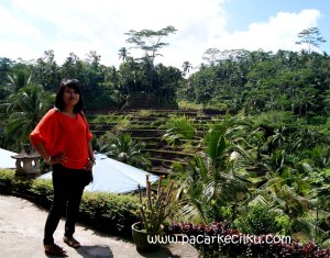 Ceking Terrace di Tegallalang