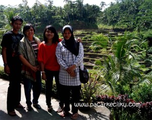 Ceking Terrace di Tegallalang