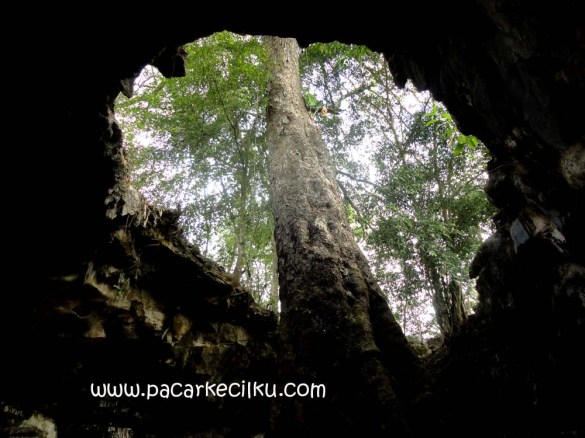 Goa Rancang Kencono Playen Gunungkidul Goa Rancang Kencono Playen Gunungkidul