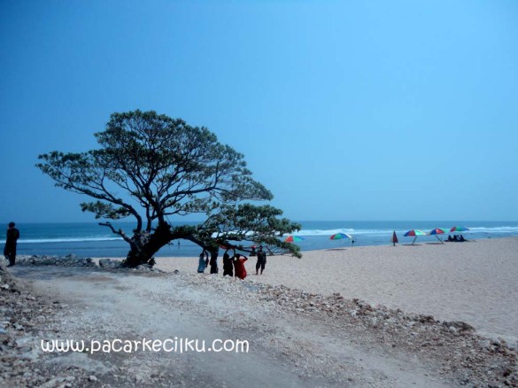Pantai Poktunggal Tepus