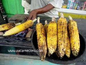 jagung bakar