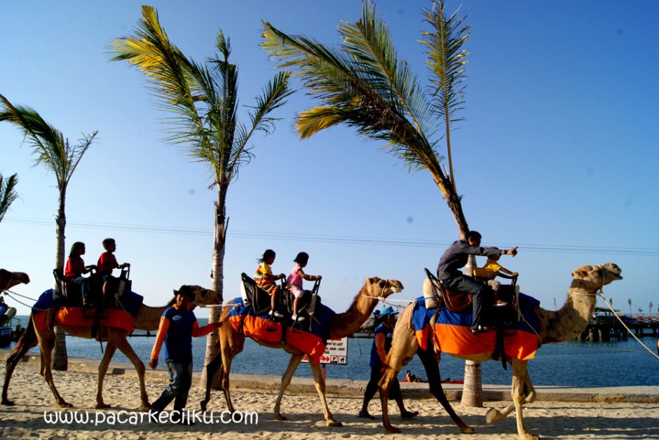 Wisata Bahari Lamongan