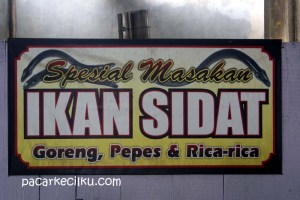 Pondok Makan Ikan Sidat Bu Istiana di Warak