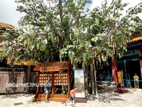 The Bodhi Tree