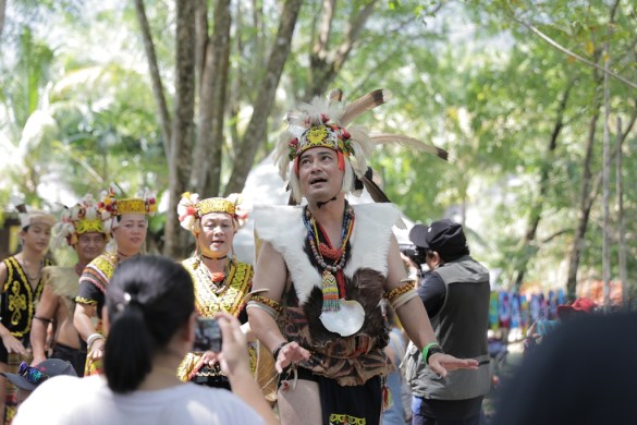 Rainforest World Music Festival 