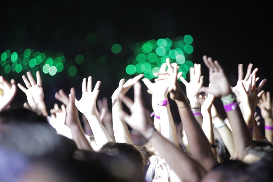 Rainforest World Music Festival