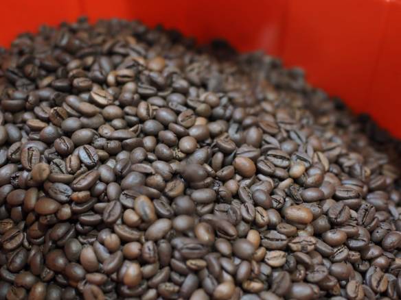 Menghirup Wangi Kopi Maison Daruma Roastery 